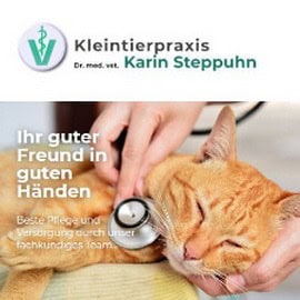 Katzenarzt untersucht eine orange Katze mit Stethoskop.